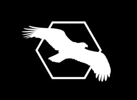 The Importance of Branding